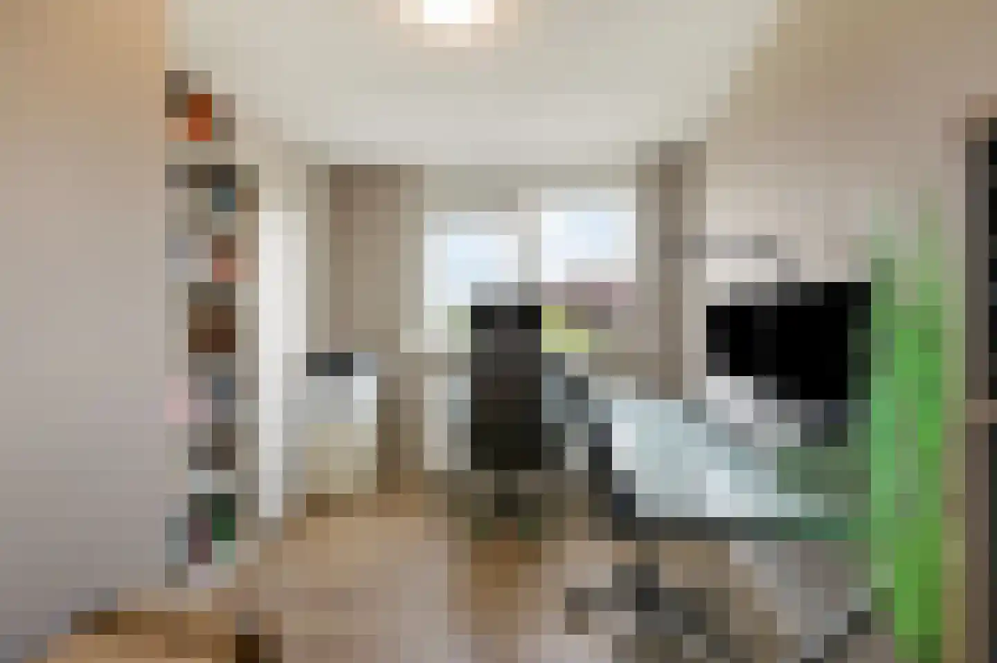 De Vendelier 1 Duiven thumbnail 35