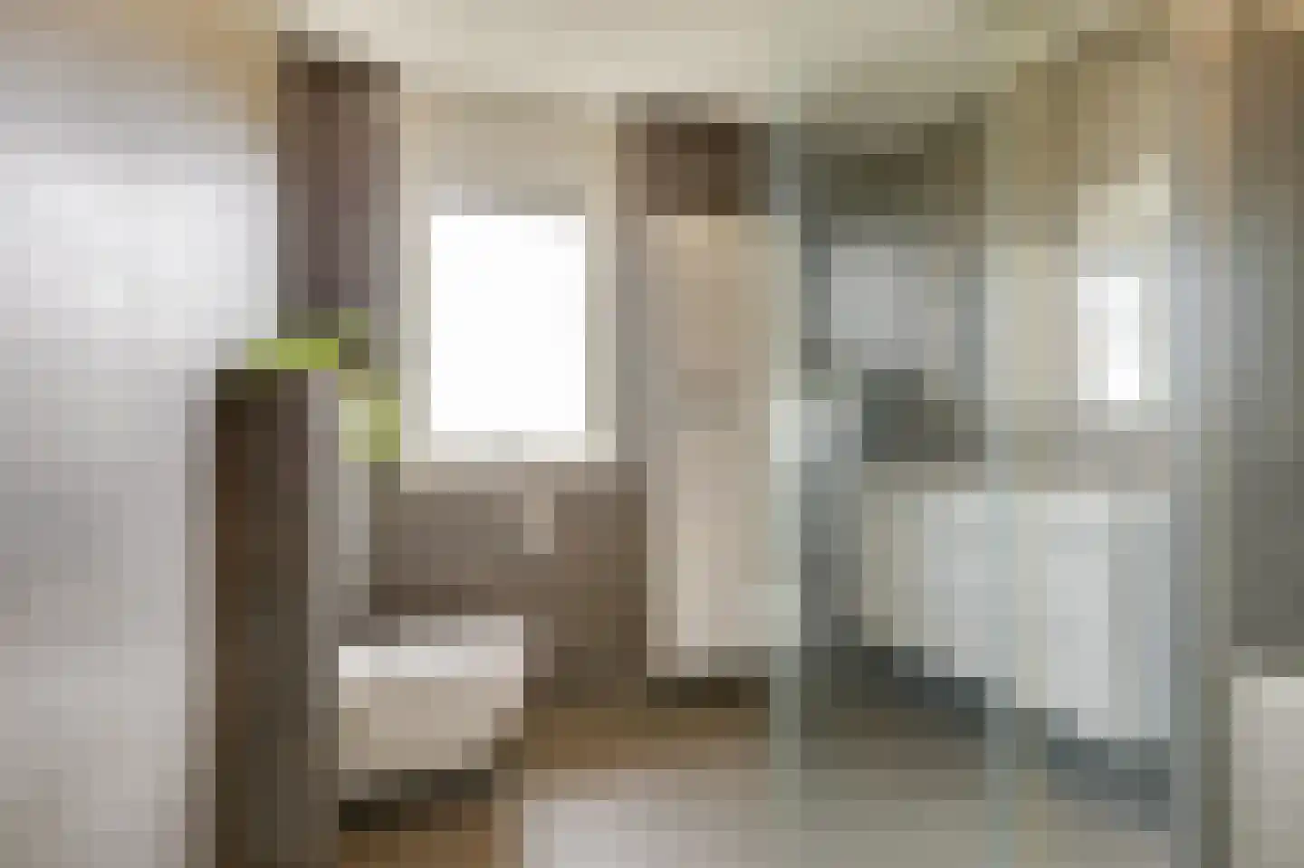 De Vendelier 1 Duiven thumbnail 36