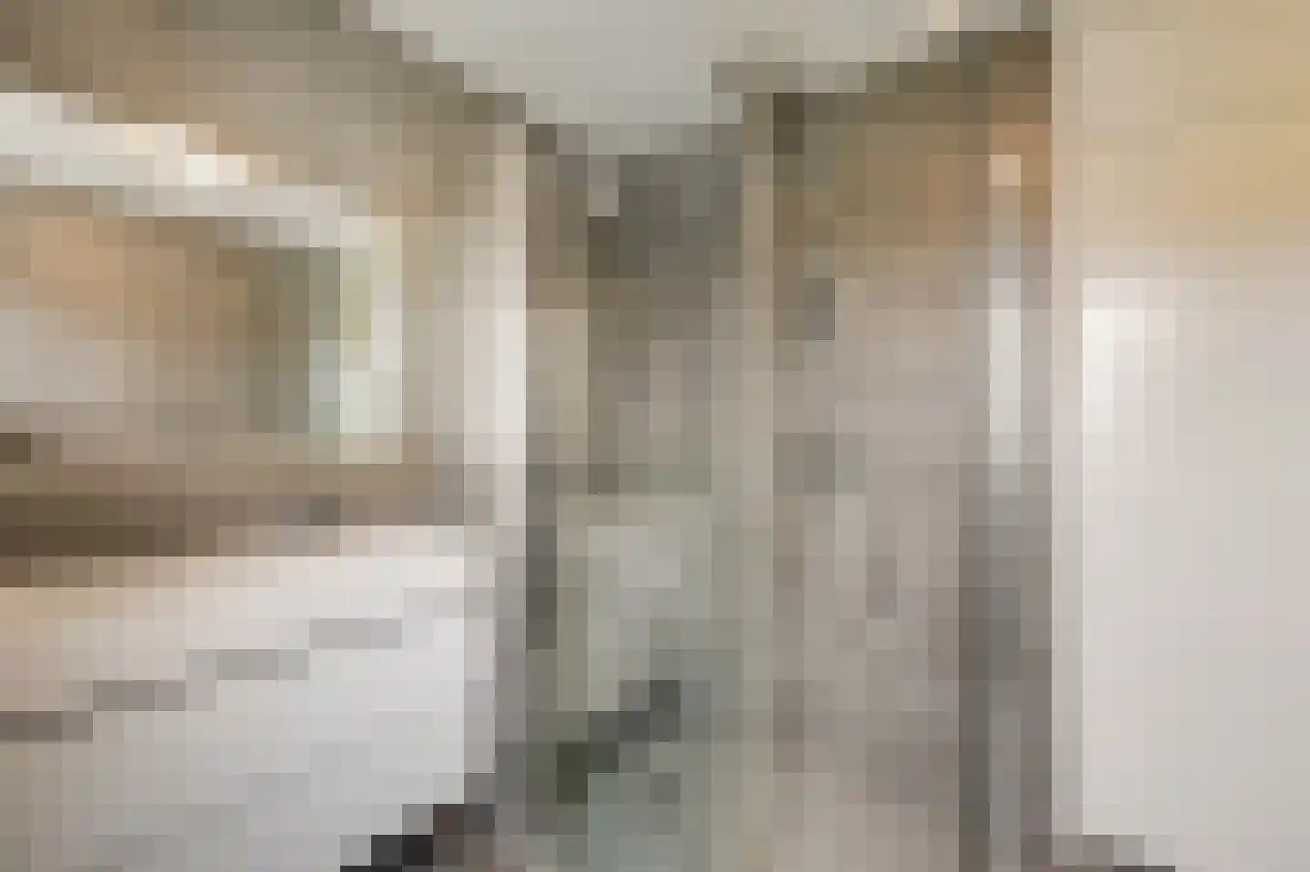 De Vendelier 1 Duiven thumbnail 38