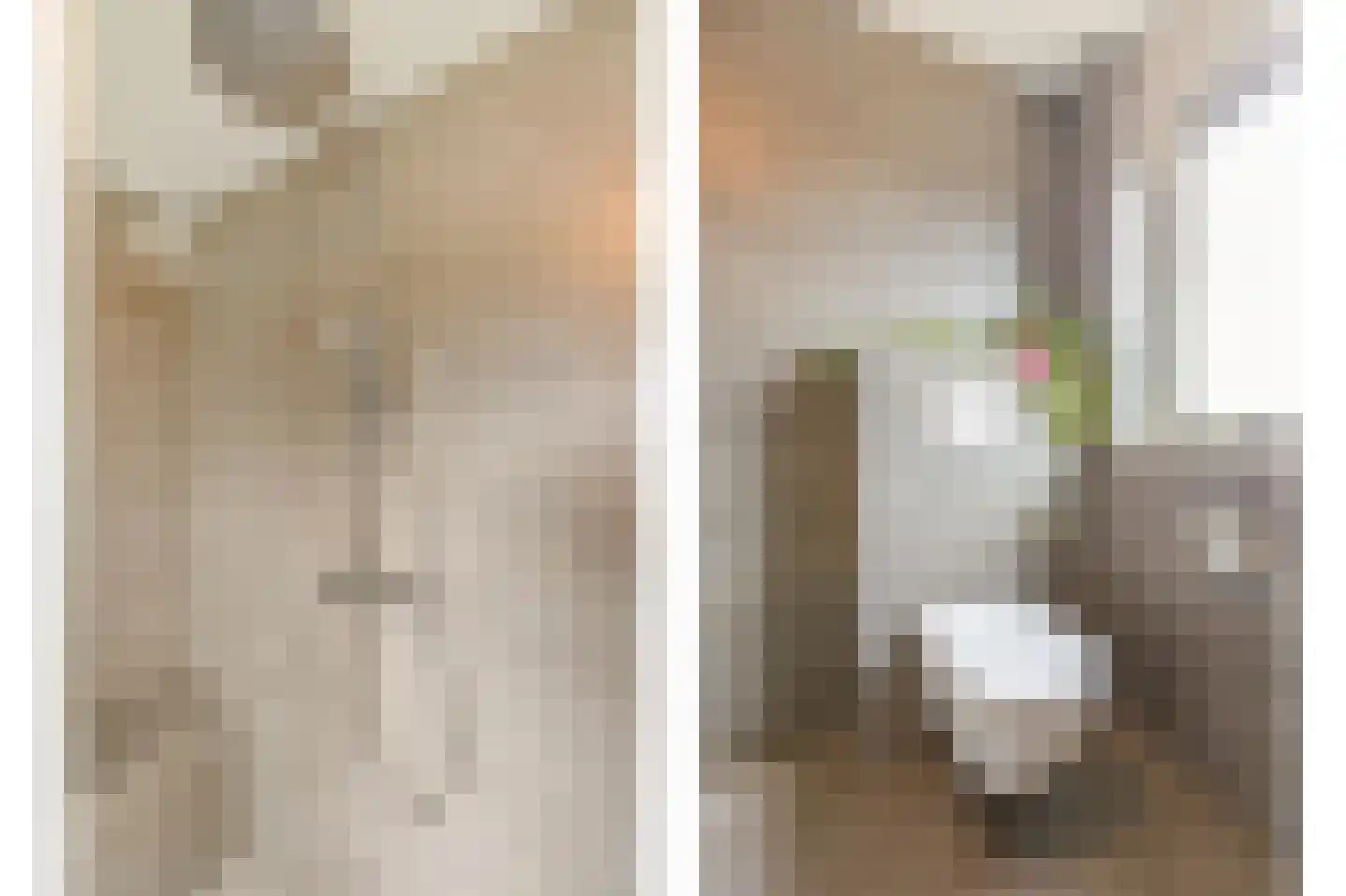 De Vendelier 1 Duiven thumbnail 41