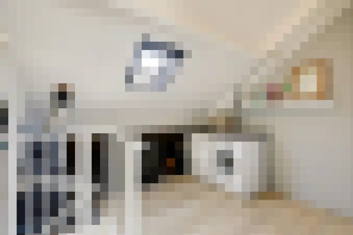 De Vendelier 1 Duiven thumbnail 42