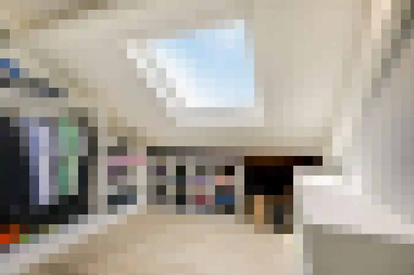 De Vendelier 1 Duiven thumbnail 43