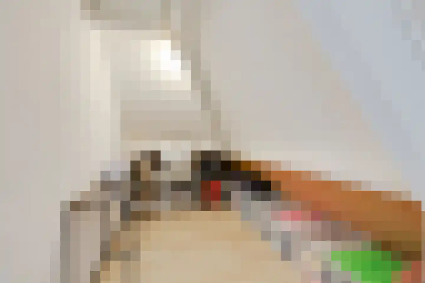 De Vendelier 1 Duiven thumbnail 44