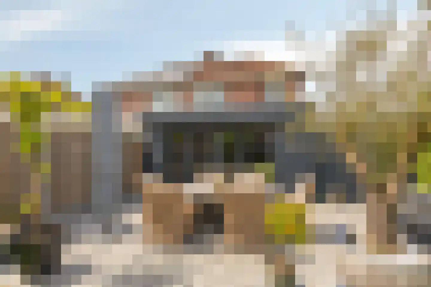 De Vendelier 1 Duiven thumbnail 47