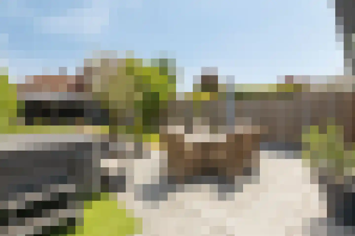 De Vendelier 1 Duiven thumbnail 48