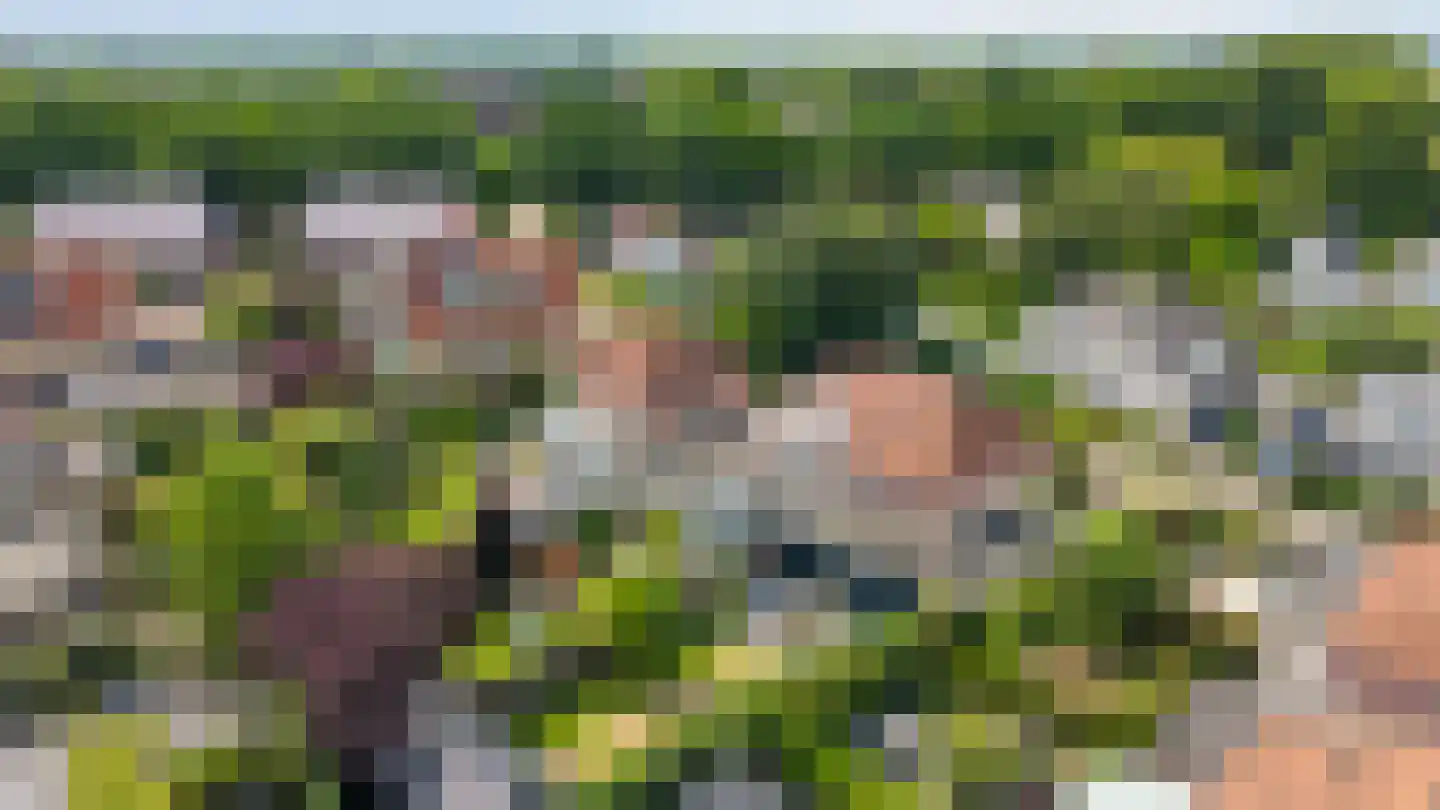 De Vendelier 1 Duiven thumbnail 5