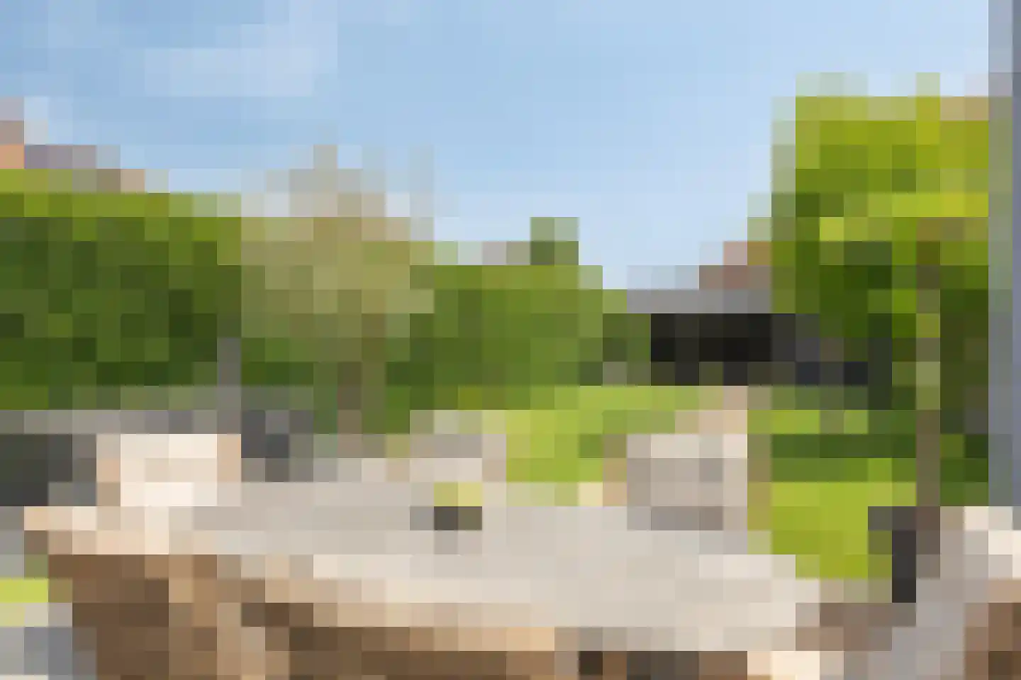 De Vendelier 1 Duiven thumbnail 50