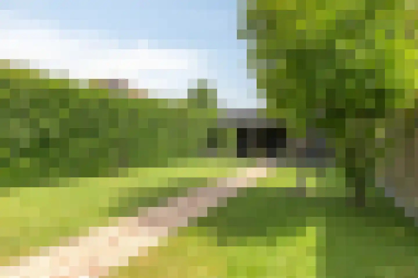 De Vendelier 1 Duiven thumbnail 51
