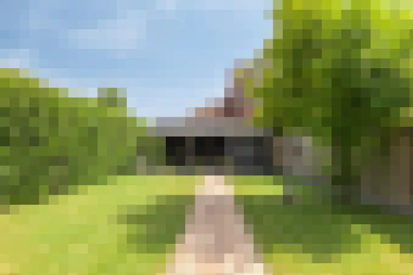 De Vendelier 1 Duiven thumbnail 52