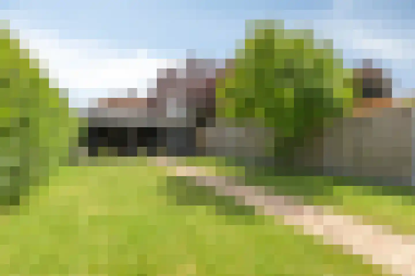 De Vendelier 1 Duiven thumbnail 53