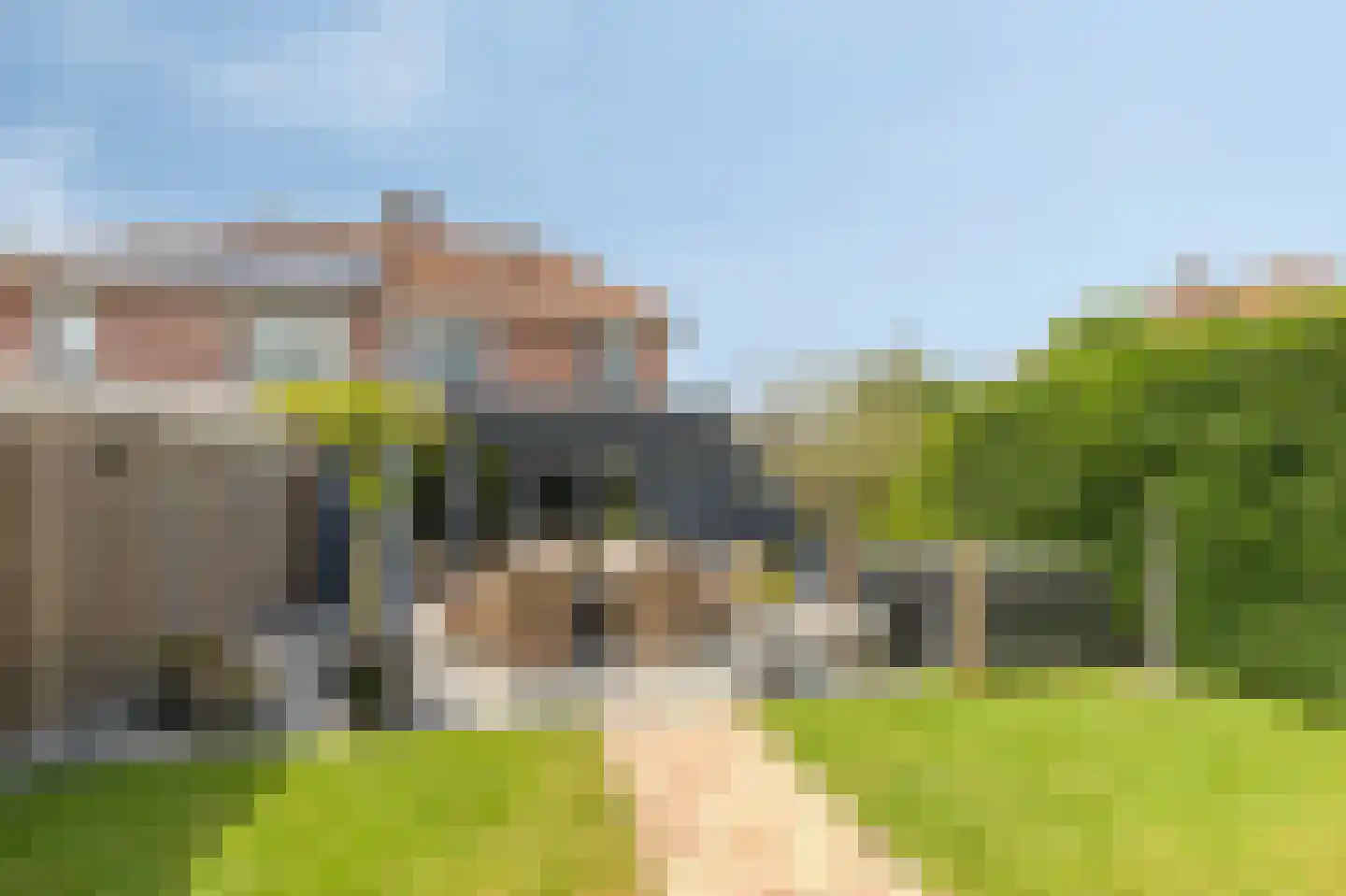 De Vendelier 1 Duiven thumbnail 56