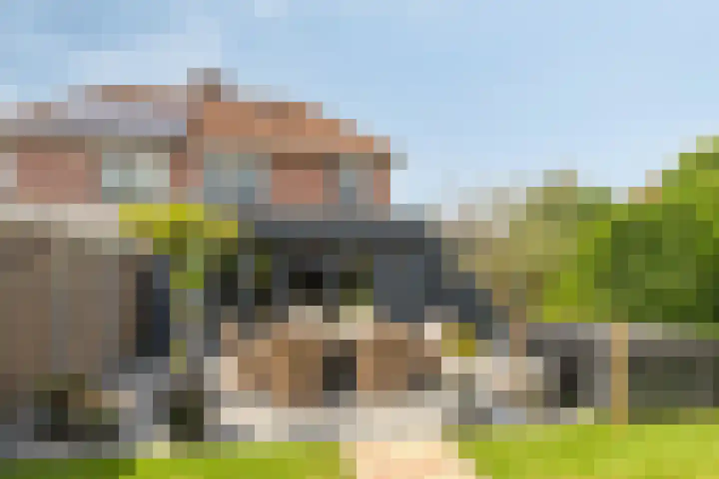 De Vendelier 1 Duiven thumbnail 57