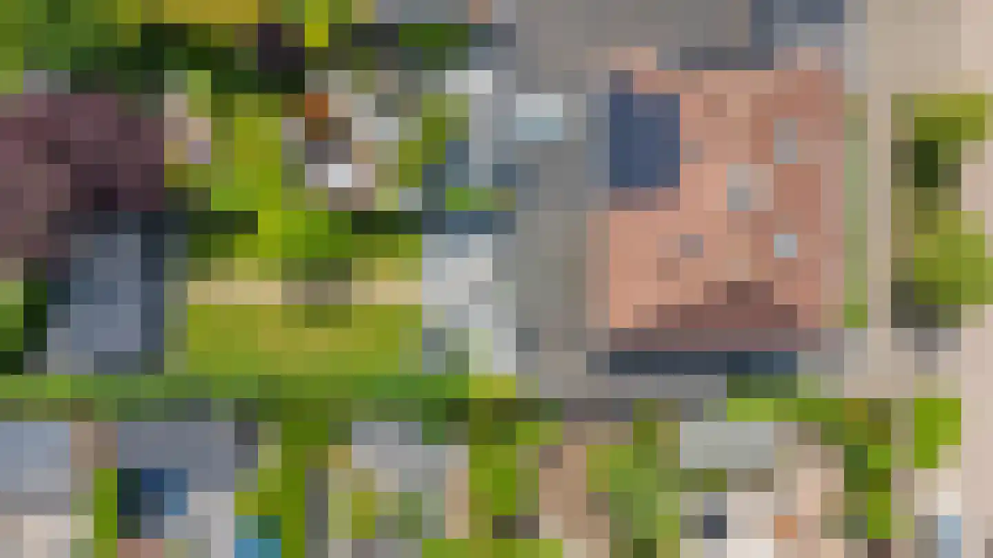 De Vendelier 1 Duiven thumbnail 58