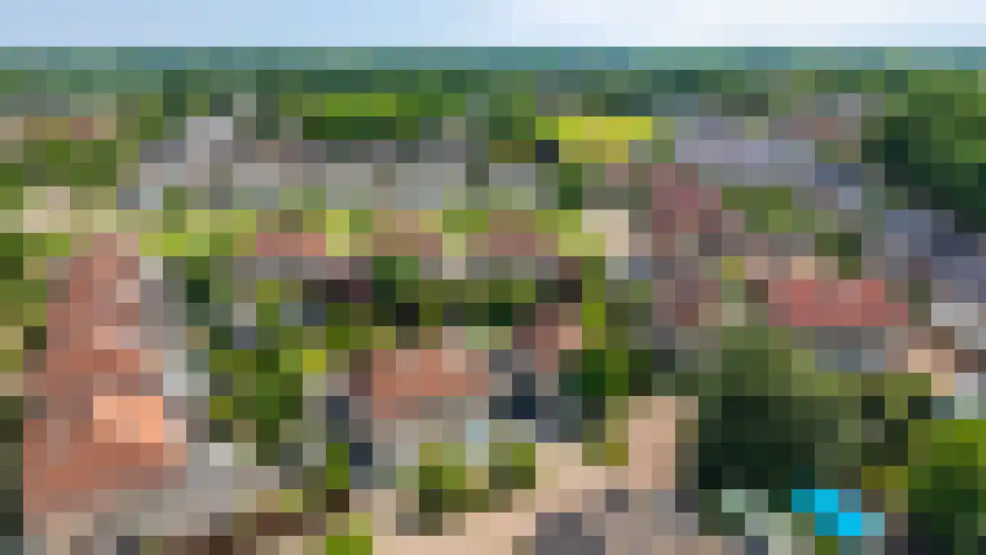 De Vendelier 1 Duiven thumbnail 6