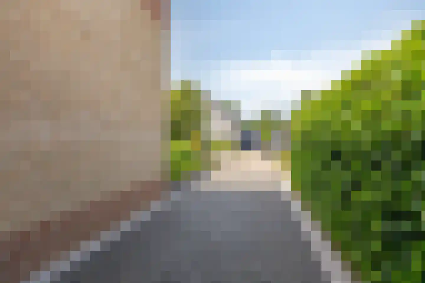 De Vendelier 1 Duiven thumbnail 60