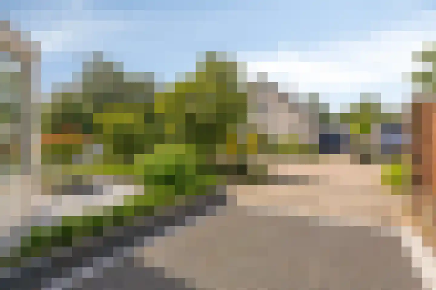 De Vendelier 1 Duiven thumbnail 61