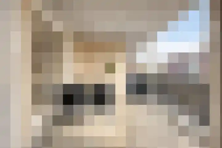 De Vendelier 21 Amersfoort thumbnail 24