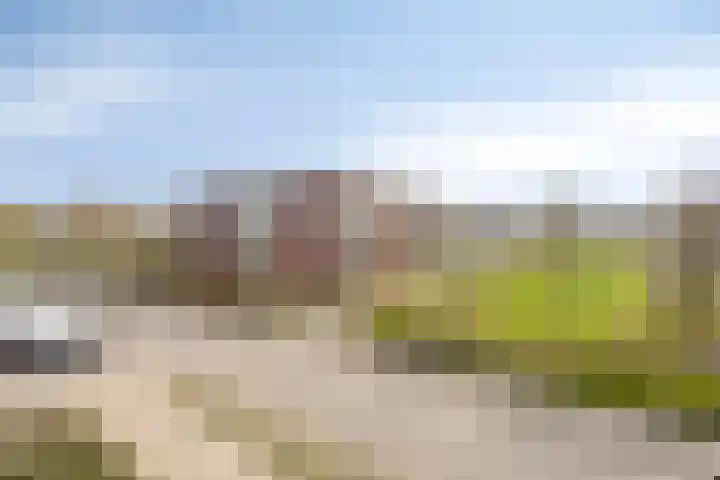 De Vendelier 21 Amersfoort thumbnail 27