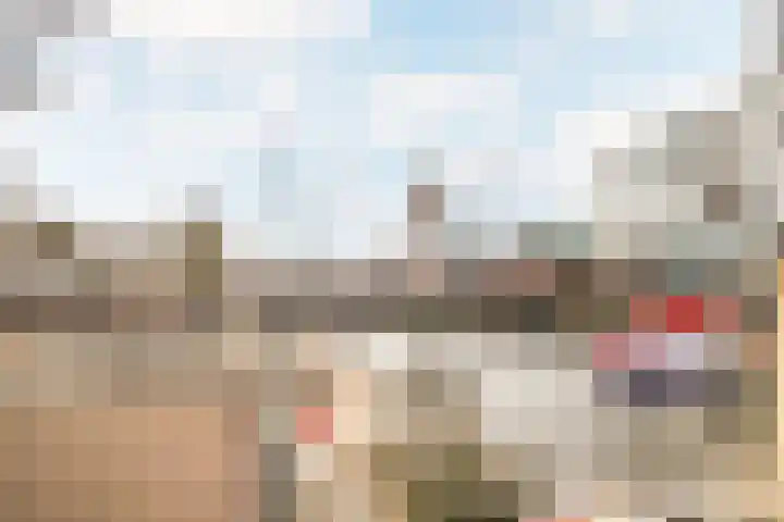 De Vendelier 21 Amersfoort thumbnail 34