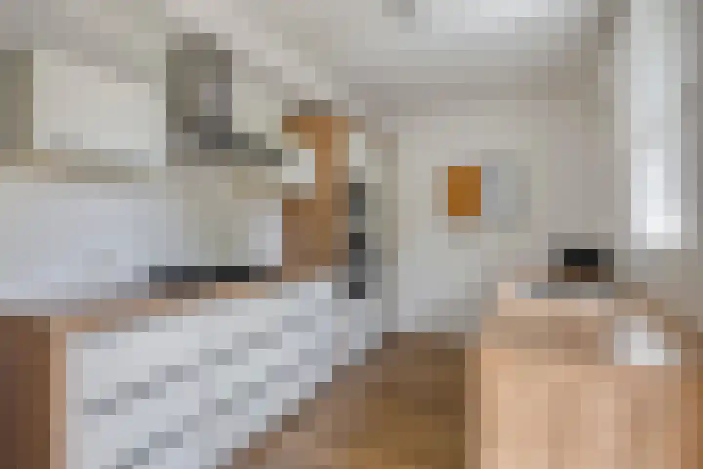 De Vendelier 76 Swifterbant thumbnail 16