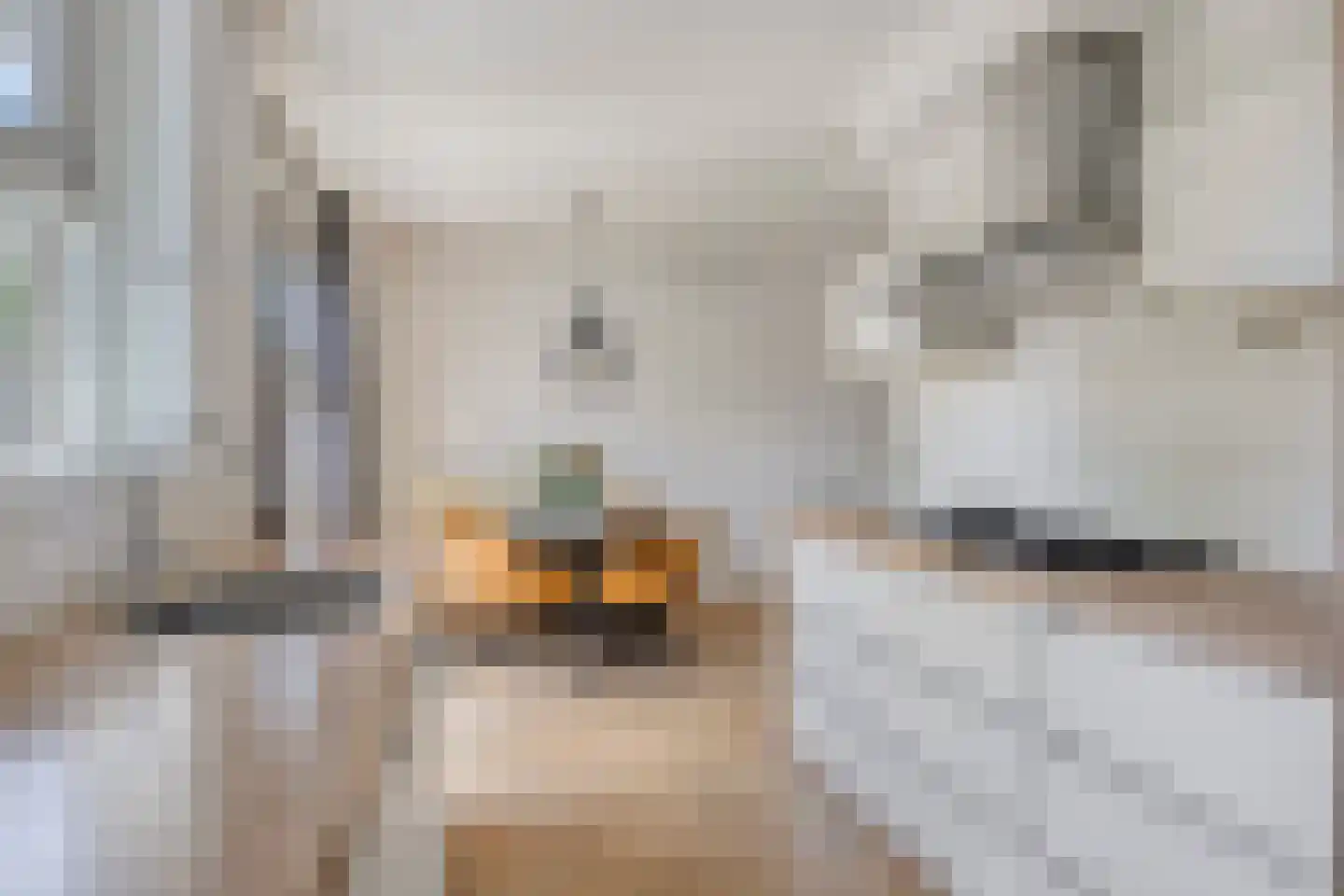 De Vendelier 76 Swifterbant thumbnail 17