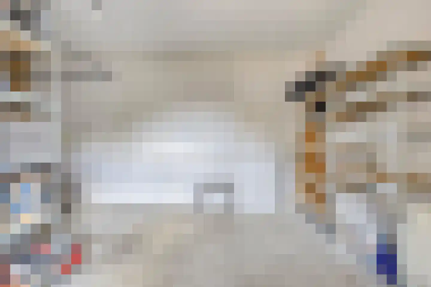 De Vendelier 76 Swifterbant thumbnail 19
