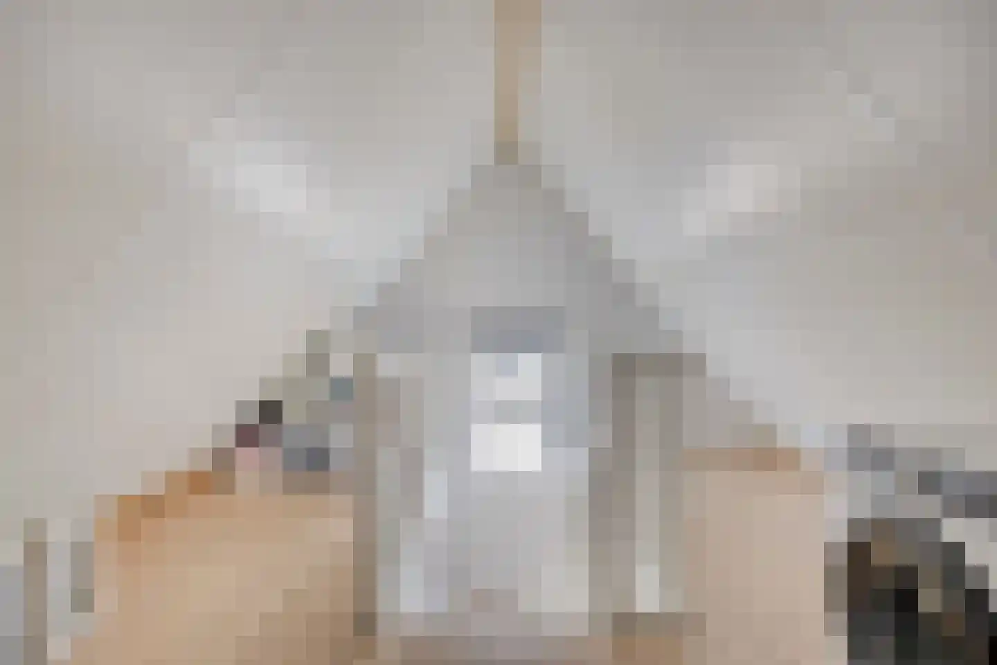 De Vendelier 76 Swifterbant thumbnail 32