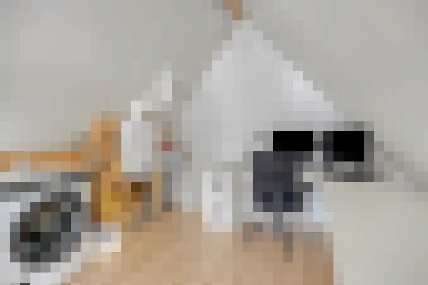 De Vendelier 76 Swifterbant thumbnail 33