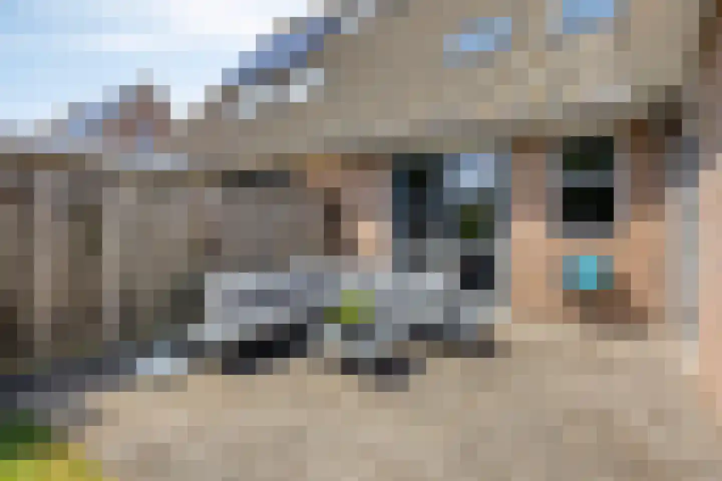De Vendelier 76 Swifterbant thumbnail 39
