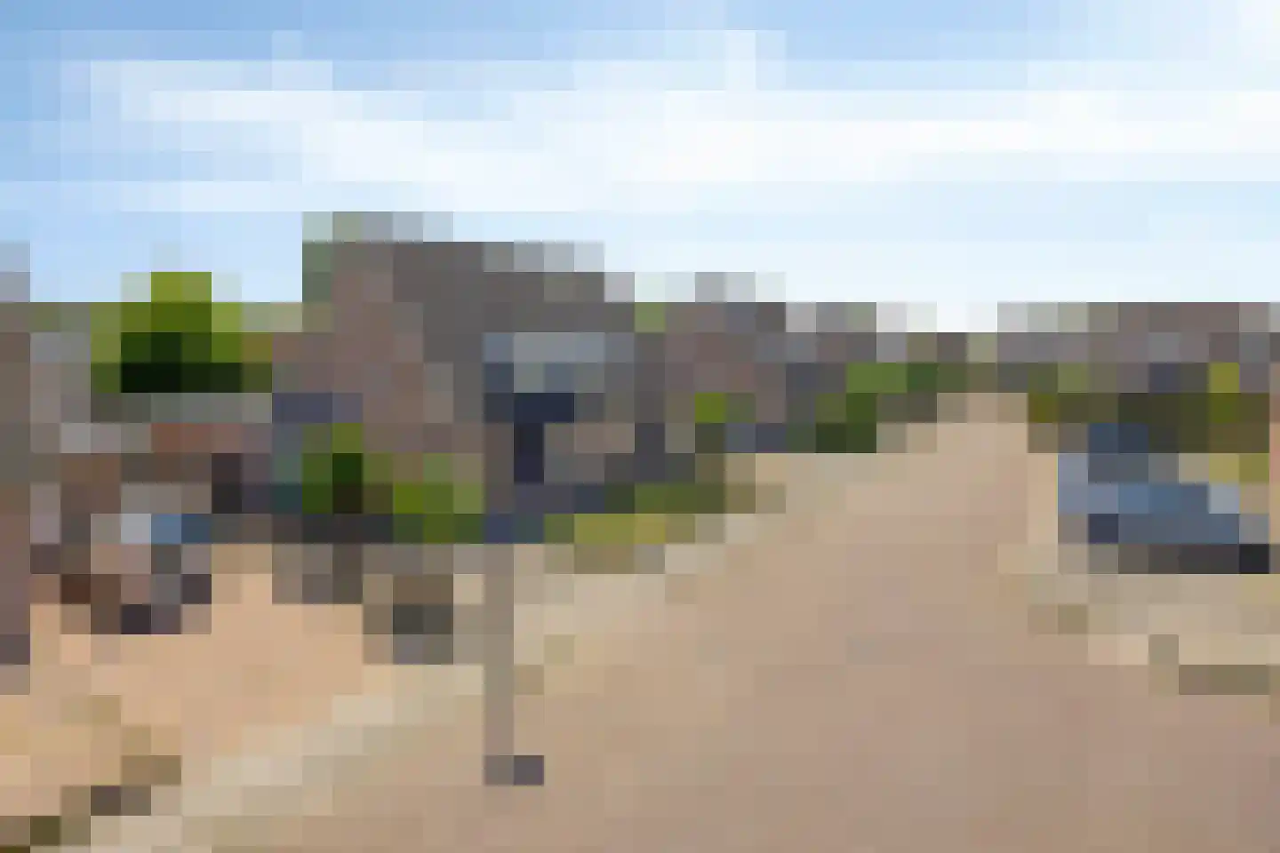 De Vendelier 76 Swifterbant thumbnail 44