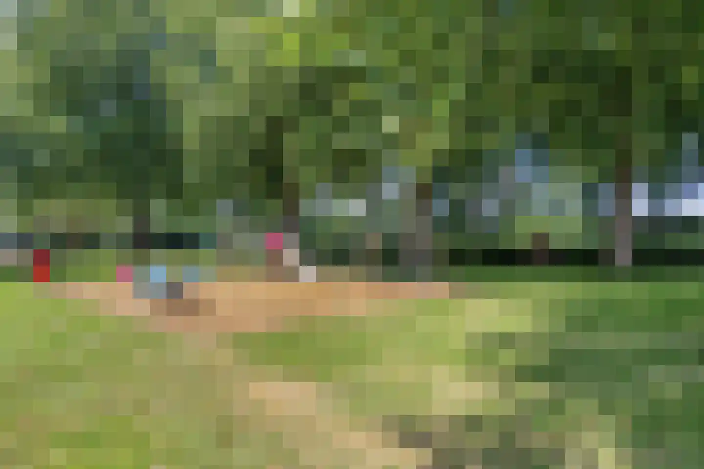 De Vendelier 76 Swifterbant thumbnail 45