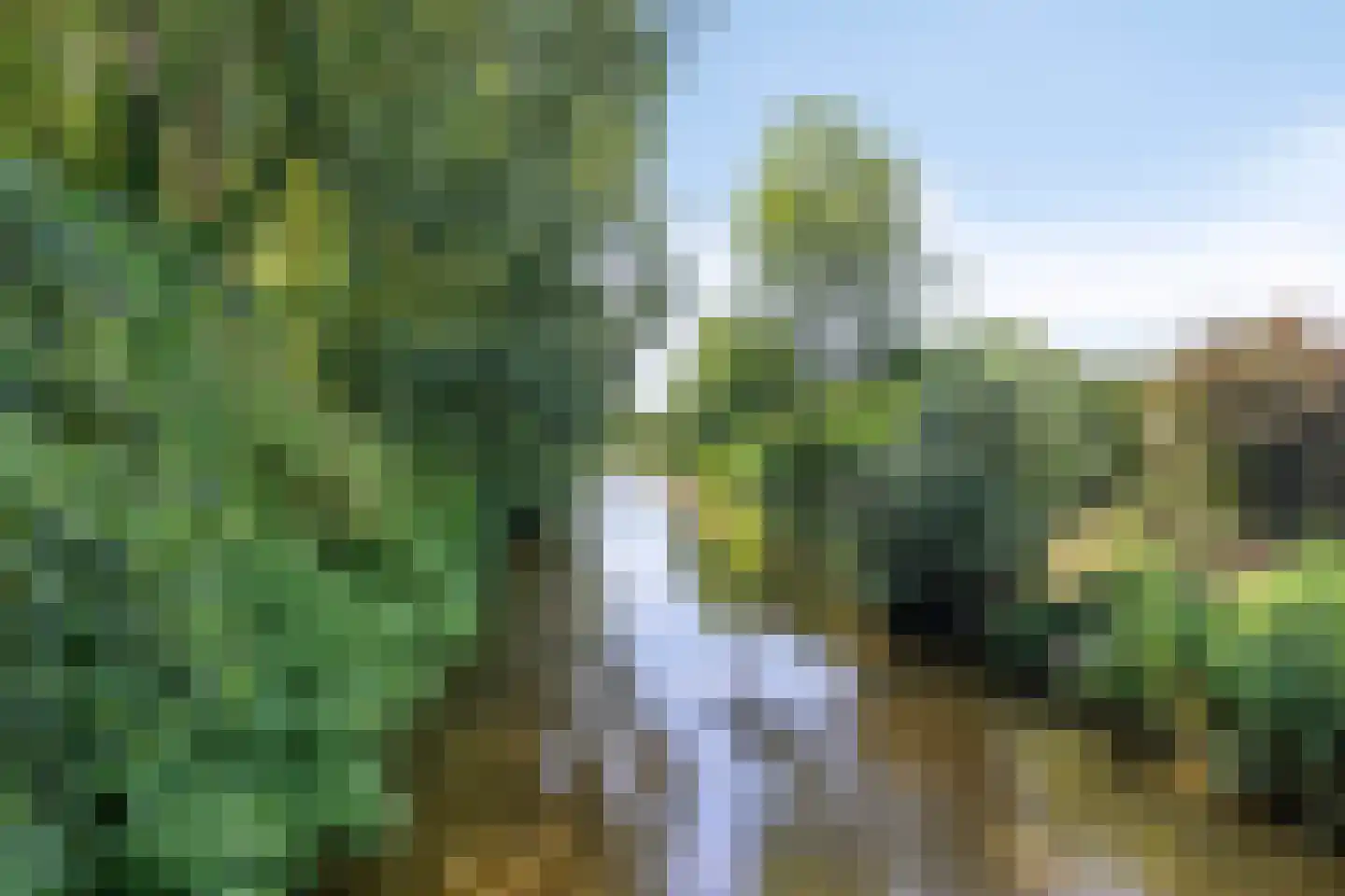 De Vendelier 76 Swifterbant thumbnail 46