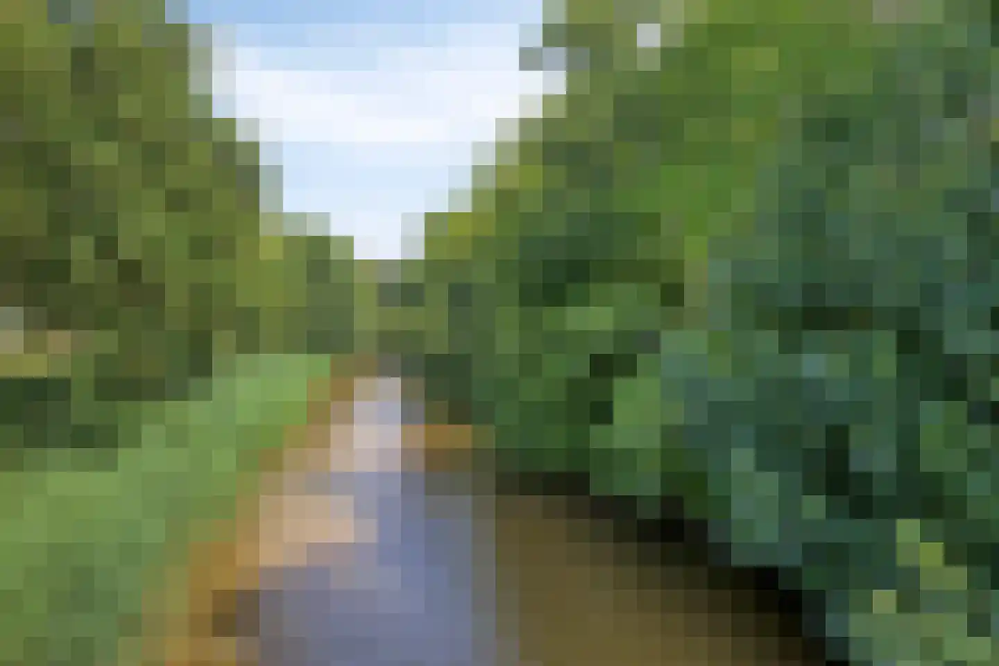 De Vendelier 76 Swifterbant thumbnail 47