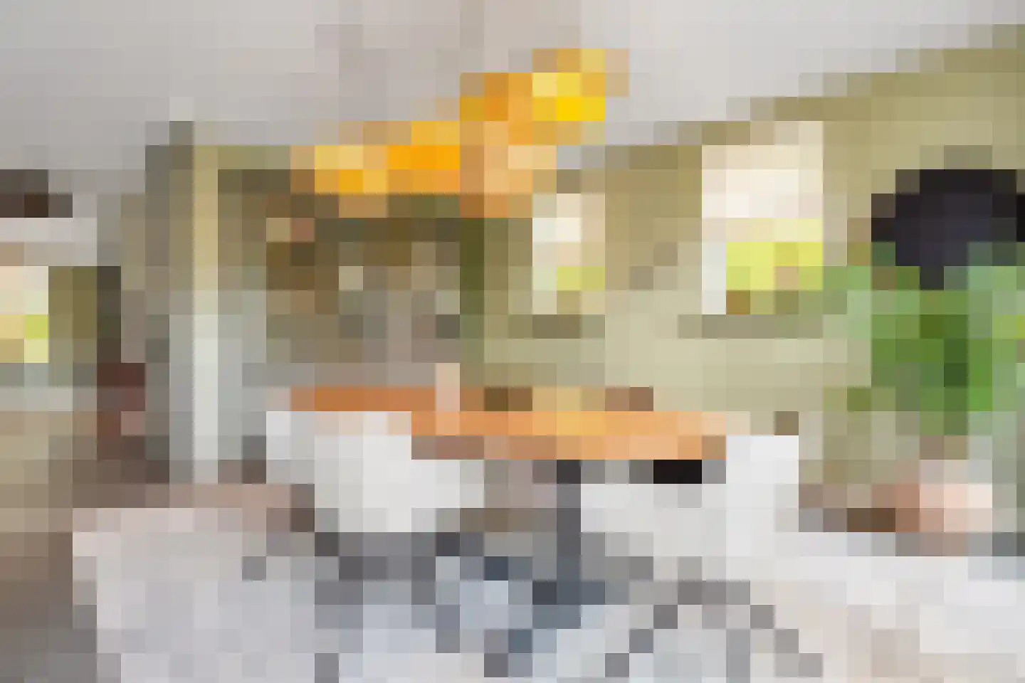 De Venen 5 a Maarn thumbnail 12