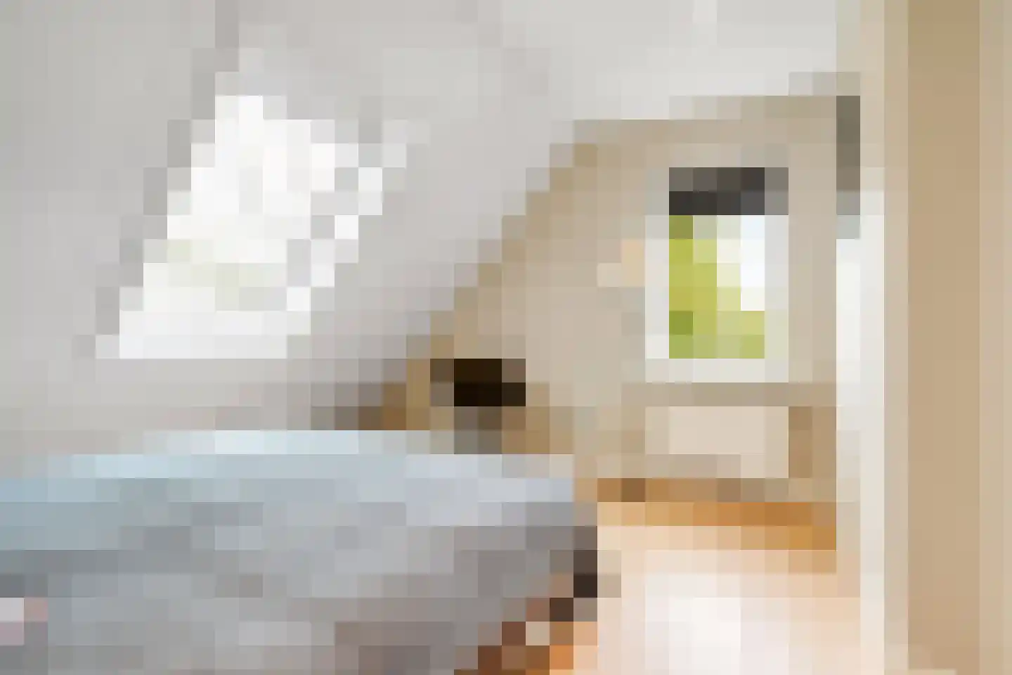 De Venen 5 a Maarn thumbnail 32