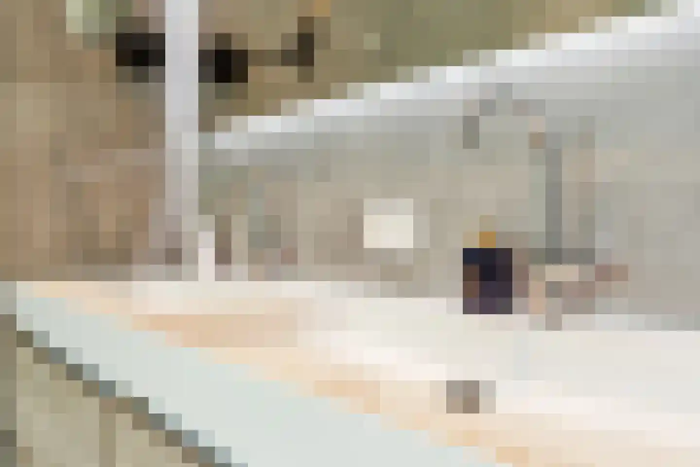 De Venen 5 a Maarn thumbnail 44