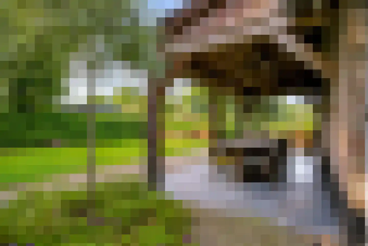 De Venen 5 a Maarn thumbnail 56