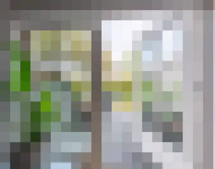 De Venne 10 Beilen thumbnail 13