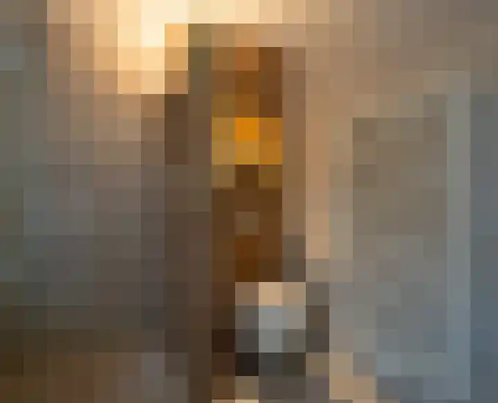 De Venne 10 Beilen thumbnail 20