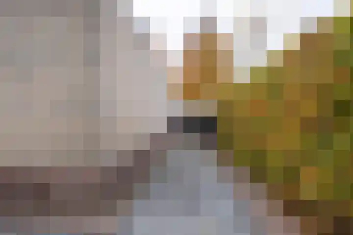 De Venne 10 Beilen thumbnail 27