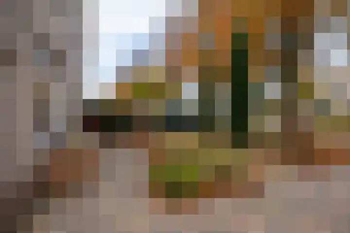 De Venne 10 Beilen foto 3
