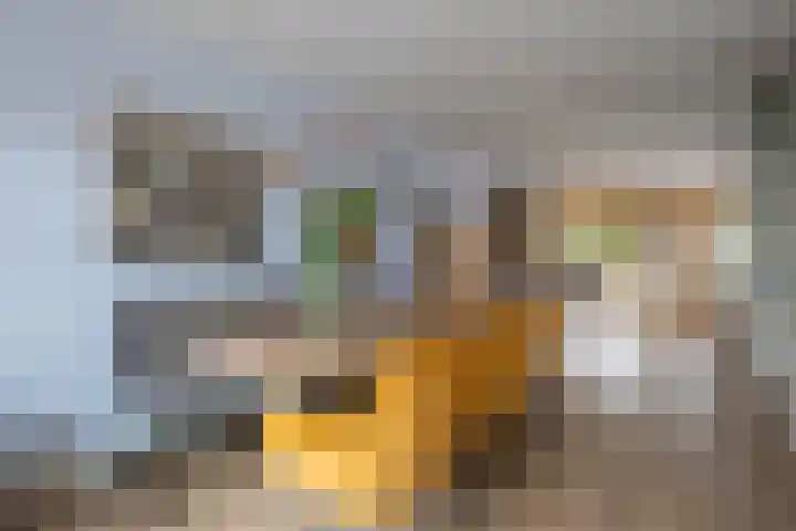 De Venne 10 Beilen thumbnail 9