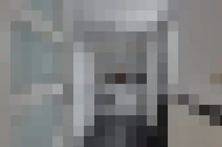 De Venne 27 Beilen thumbnail 16