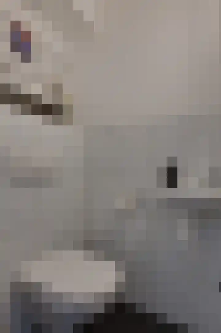 De Venne 27 Beilen thumbnail 17