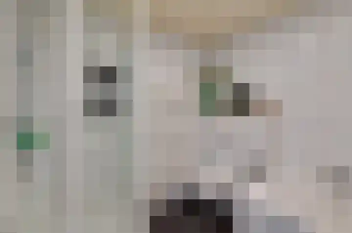 De Venne 27 Beilen thumbnail 25