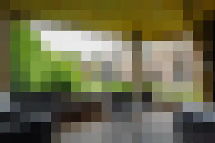 De Venne 27 Beilen thumbnail 31