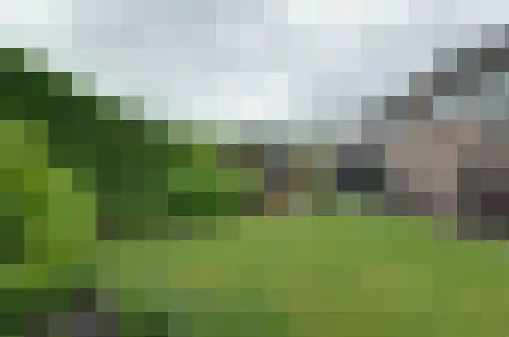 De Venne 27 Beilen thumbnail 32