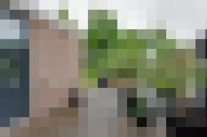 De Venne 27 Beilen thumbnail 33