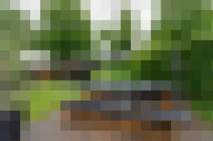 De Venne 27 Beilen thumbnail 35