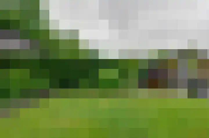 De Venne 27 Beilen thumbnail 37